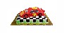 Rally Acropolis